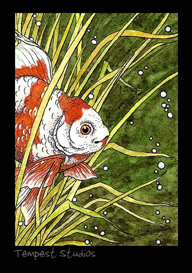 Hiding Goldfish Print ACEO 2.5x3.5 Limited Edition Mini Trading Card Art