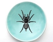 Ceramic dish with spider illustration - for all you arachnid lovers out there