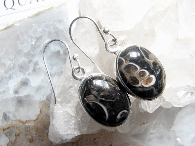 Turitella Agate, Fossil Earrings