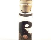 Tentacle Pendant Sp18