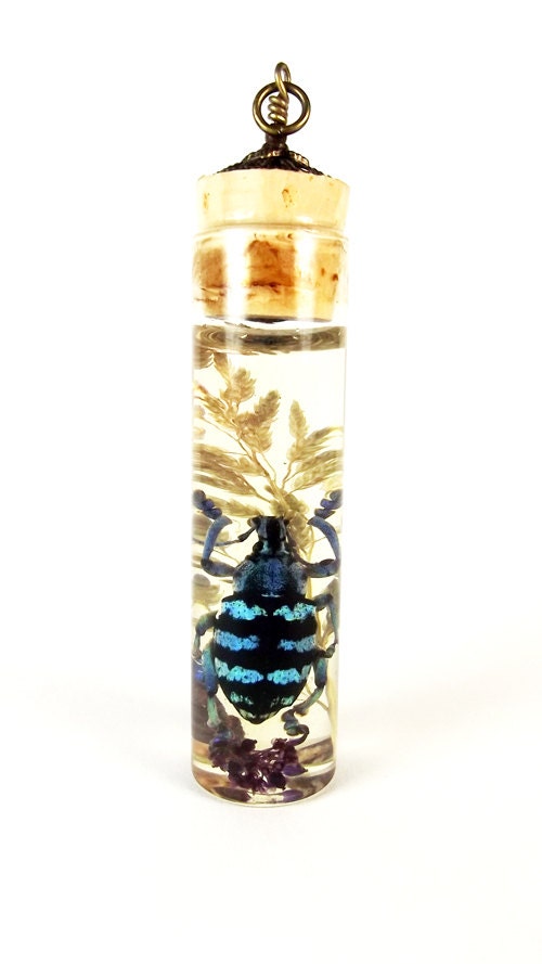 Weevil Pendant sp8