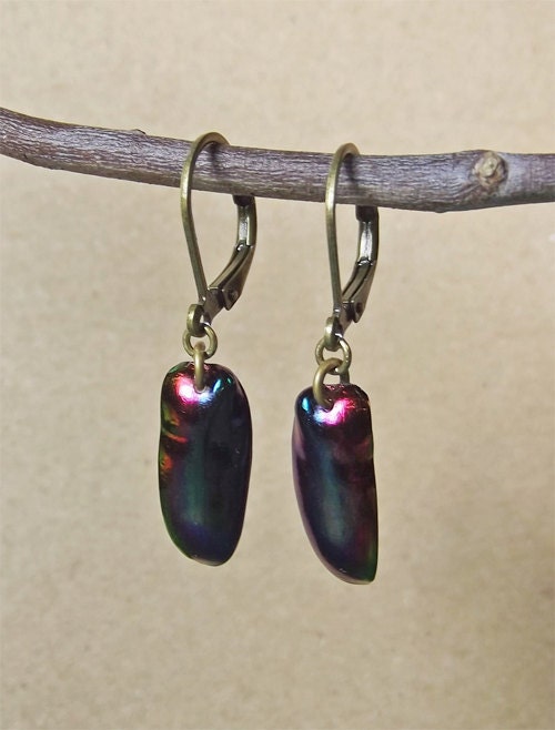 Sagra Elytra Earrings SP2