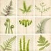 12x12 Fern Photography Set, Fine Art Nature Photographs, Large Photos, Nature Artwork, Large Wall Art, Woodland Photography Prints