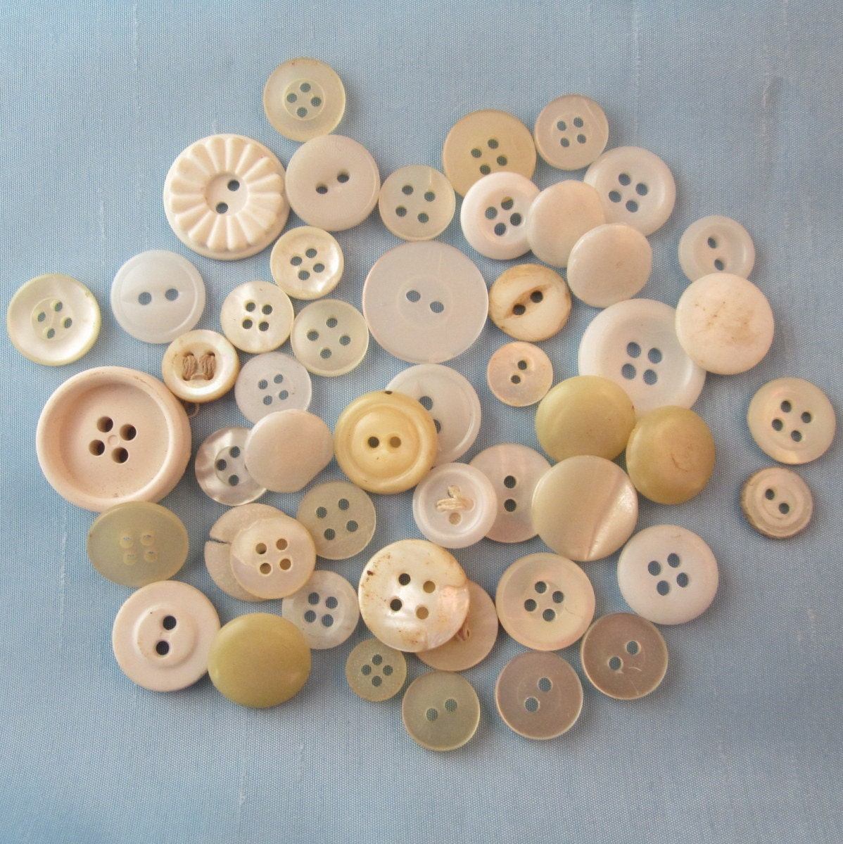 Mixed Lot of 50 White Buttons Ivory Cream Tan