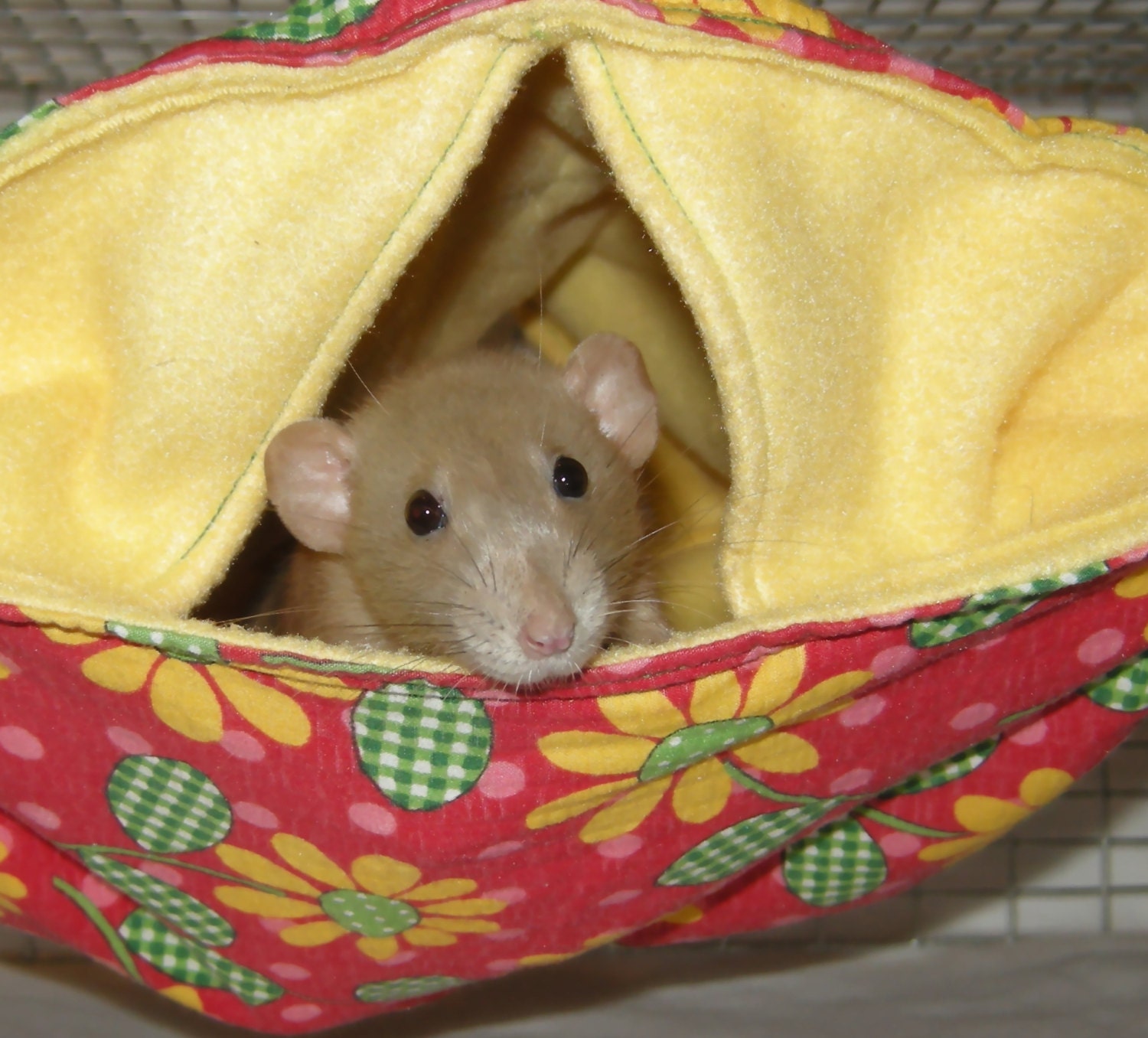 Small Animal Hammock Pup Tent Rats,Rodents, Sugar Glider