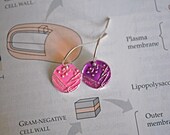 Petri Dish Earrings: Gram Negative and Gram Positive Bacteria