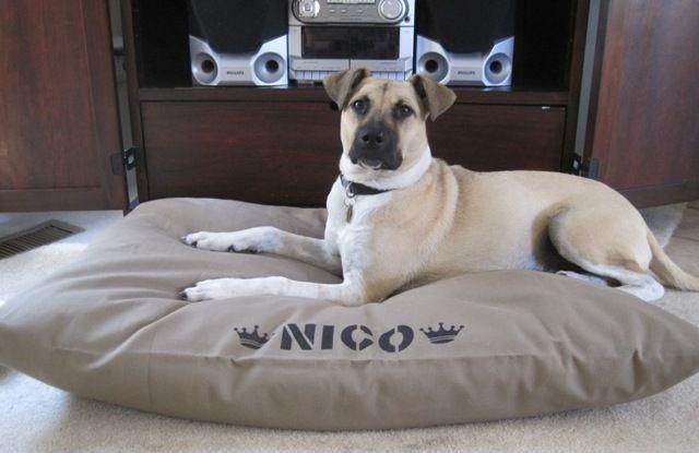XL 38x50 Dog Bed Duvet Cover : Choose from MANY canvas colors - Use four standard sleeping pillows as stuffing