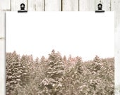 minimalist photography, winter, trees, snow, forest, landscape, modern home decor, wall art, wall decor - "Sounds Like Secrets" - 8x10 print