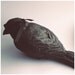 Blindsided, Plaster bird sculpture by Darla Jackson