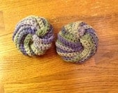 2 spiral dish scrubbies