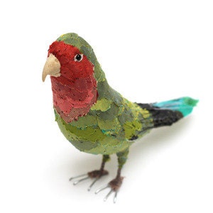 PEACH FACED LOVEBIRD