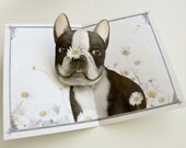 Pushing Up Daisies Boston Terrier Pop Up Card