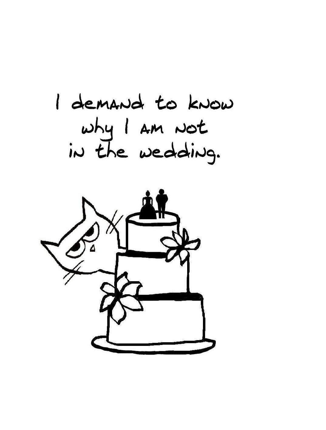 Angry Cat Crashes the Wedding - Single Note Card for Cat Lovers