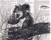 Squirrel, Antique Book Page Prints, French.Gift  / Repurposed Vintage. tree, home decor, Paris, buy 3 get 1 FREE, Affordable Art.fathers day