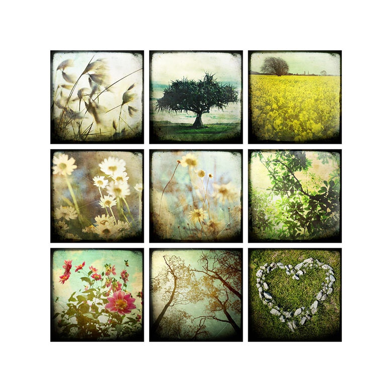 Title: set of 9 4x4 prints - yellow - floral - tree, daisy, pink flowers, heart of stone, reaching up - jackiecooper Title: set of 9 4x4 prints - yellow - floral - tree, daisy, pink flowers, heart of stone, reaching up - jackiecooper