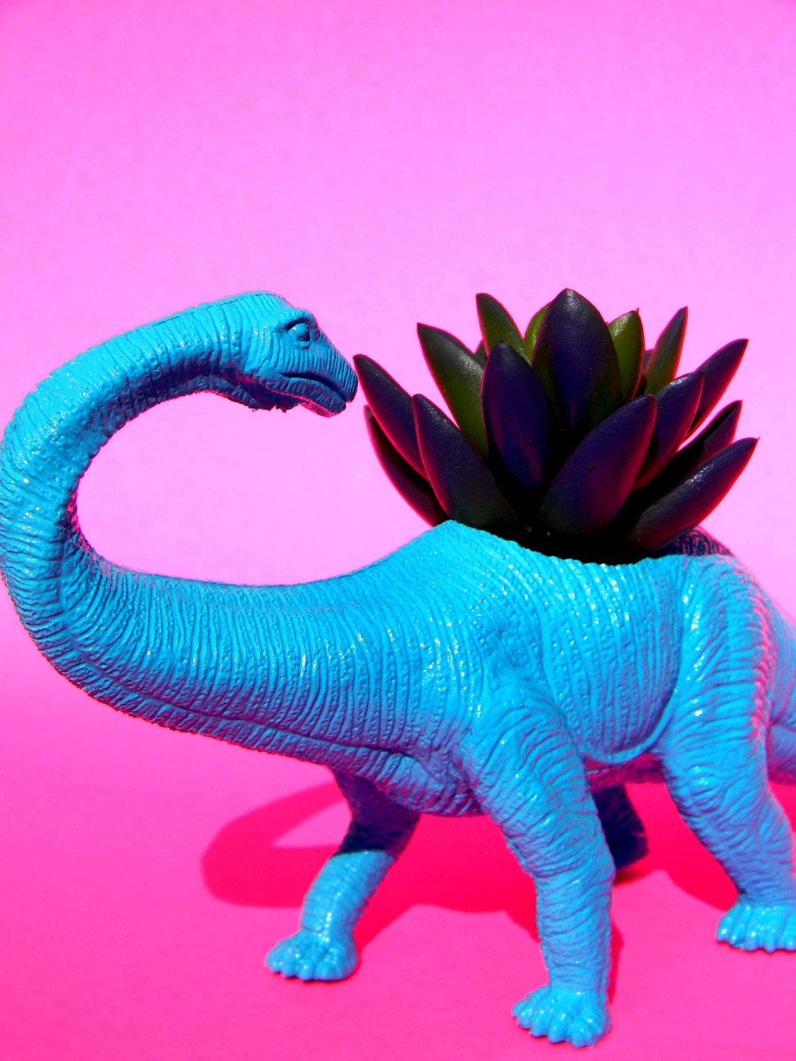 Large Dinosaur Planter for Succulents and Small Cacti Plants Great Gift for the Spring and Summer Months