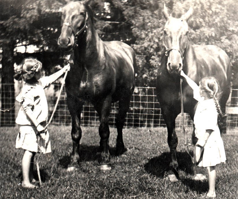 vintage photo Darling Braids Little Girls Hold their Horses