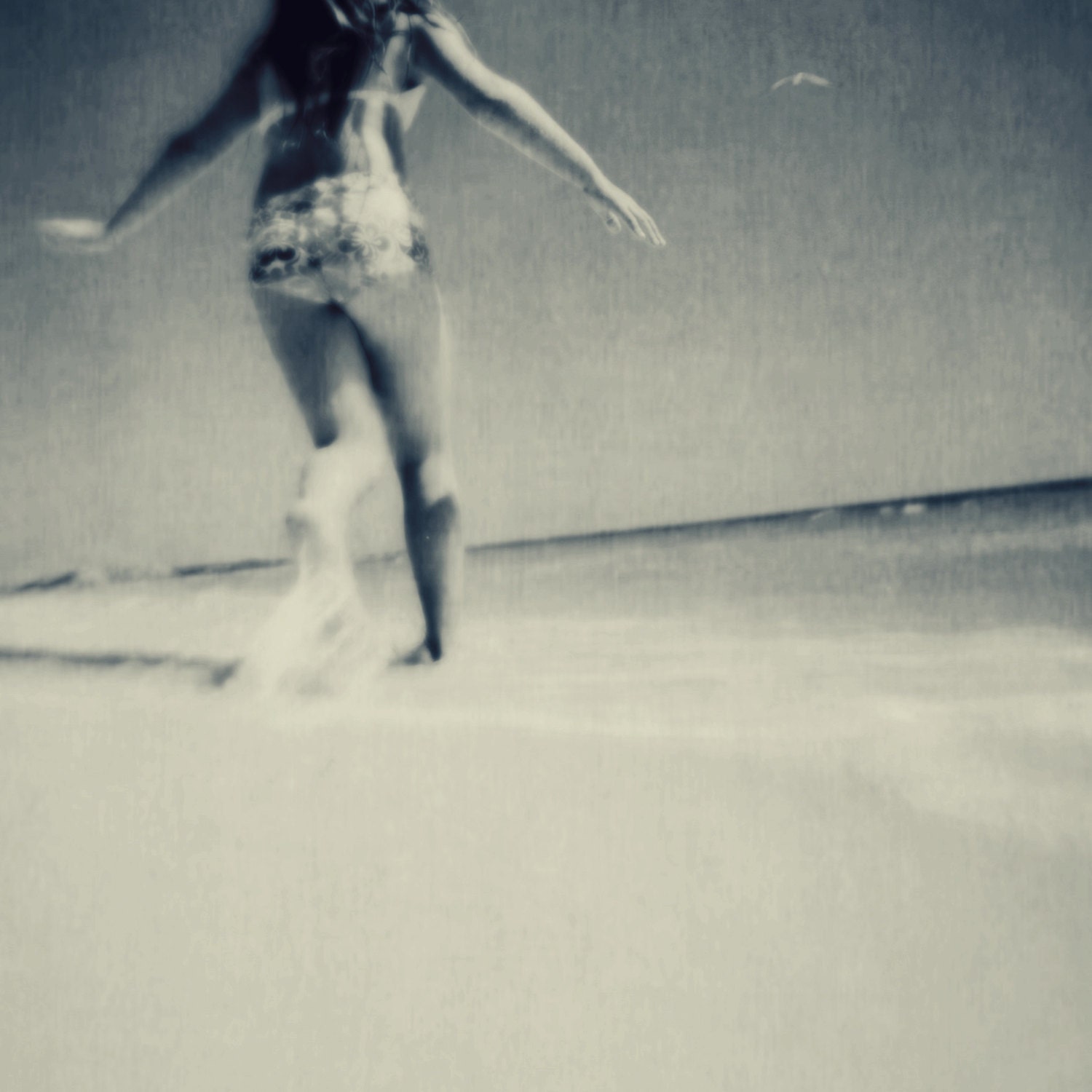 free bird