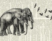 elephant couple - vintage artwork printed on page from old dictionary