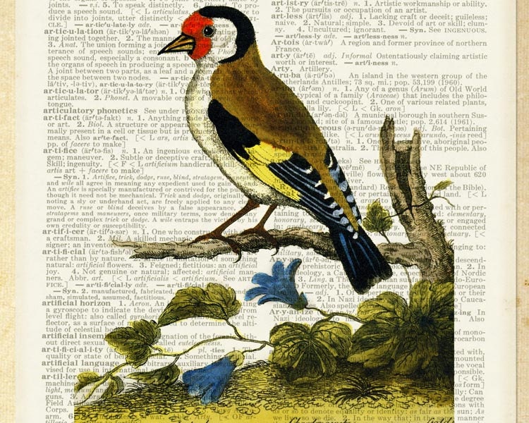 bird IV - 1700's bird arwork printed on golden page from vintage dictionary
