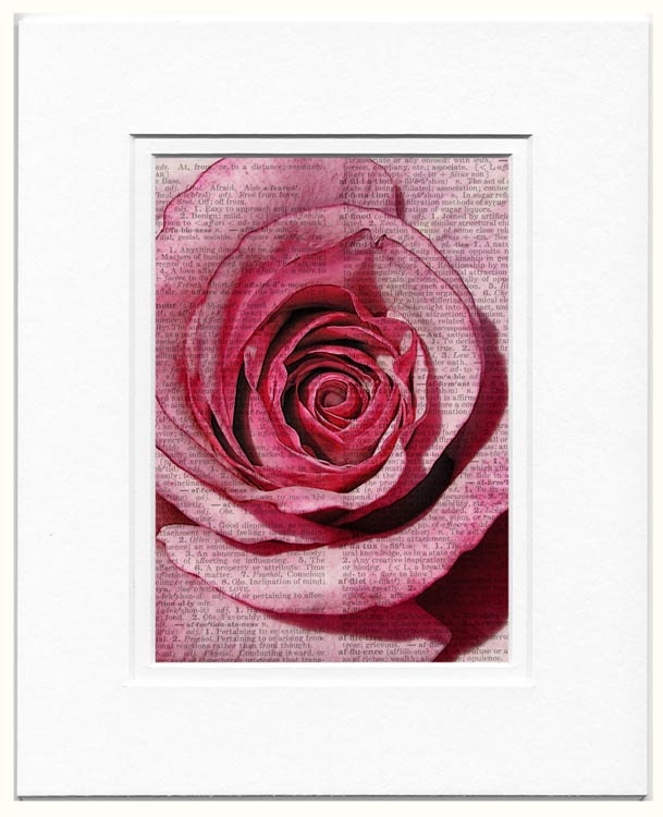 rose - farmers market rose printed on page from vintage dictonary