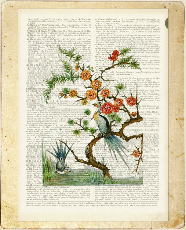 16oo's pheasant - reproduction painting - printed on page from old dictionary