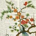 16oo's pheasant - reproduction painting - printed on page from old dictionary