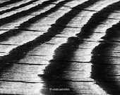 From the "Lines" series Photo print 4x6 inches fine art abstract image with lines  in black and white - signed