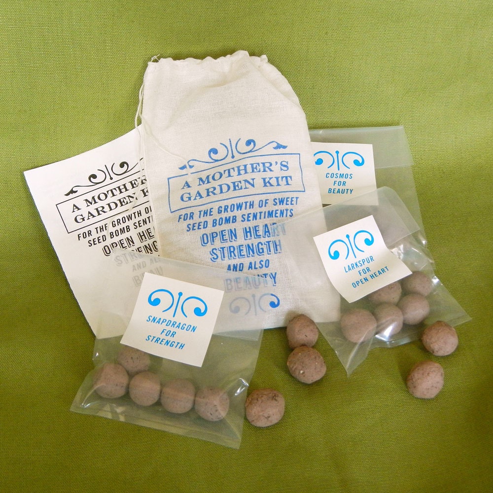 Perfect Mother's Day Gift: A Mother's Garden Seed Bomb Kit to Grow Larkspur, Snapdragon and Cosmos Flowers