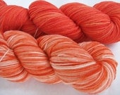 Stripe Set 2 Skeins Aerialist Sock 100% Superwash Merino Sock Fingering Color Poppy