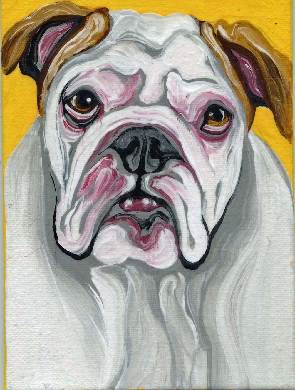 ACEO OOAK Original Canvas Magnet White and Tan English Bulldog Dog Art-Carla Smale