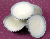 4 WILDBERRY MOUSSE Dye Free Soy Blend Wax Melts - 4oz (a whipped creamy berry dessert)