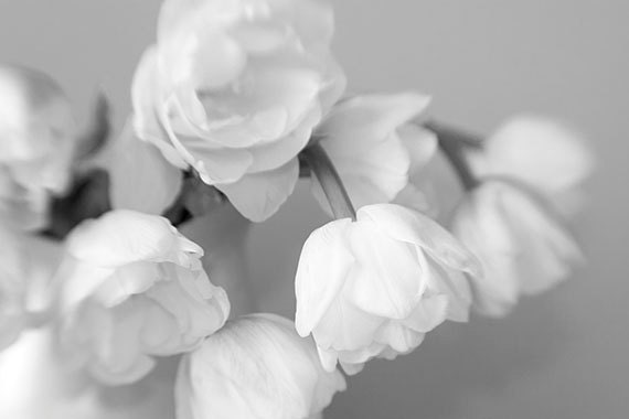 Black and White Tuip Bouquet Still Life   Photograph,   Monochromatic Floral Wall Decor, Flower Photography