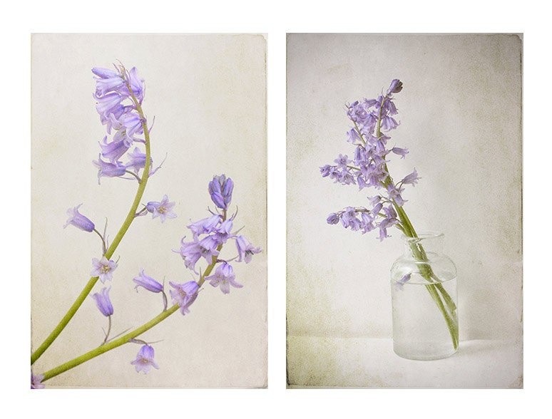 Two Bluebell Photographs. Blue Flower Still Life  Photo Set, Floral Wall Decor, Shabby Chic Home Decor