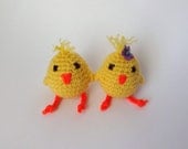 Easter Yellow  Chicks