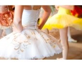 Tutus - 8x12 signed photo