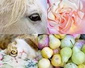 4x6 - Any Fine Art Photo in Shop