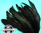 20 - Iridescent  Black - Strung Rooster - Coque - Tail Feathers - 7 Inches