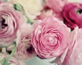 Pink Flower Photograph, 8x12 Print, Ranunculus Bunch, Shabby Chic, Romantic Flower Photo, Nature Photography