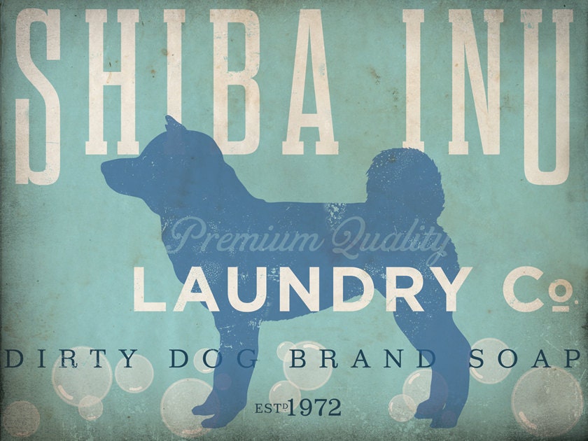 Shiba Inu Laundry Company illustration graphic art on canvas 12 x 16 by stephen fowler