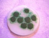 Bird Flu Paperweight Under the Microscope
