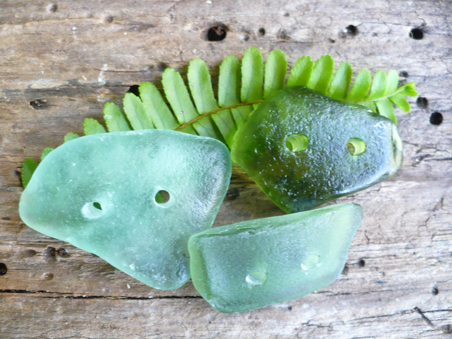 GLASS BUTTONS...beach found sea glass button notion - green glass upcycled - genuine