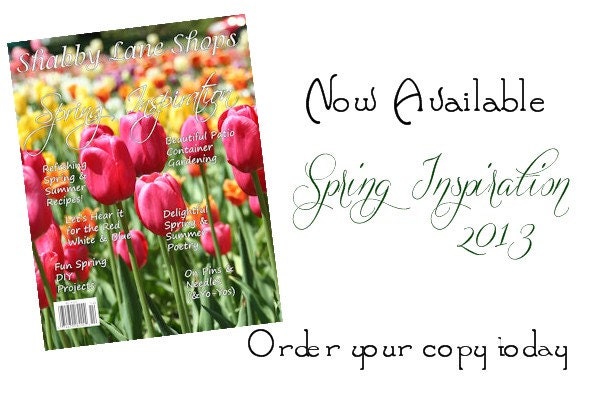 Shabby Lane Shops magazine Spring 2013 issue LOTS of DIY projects inside