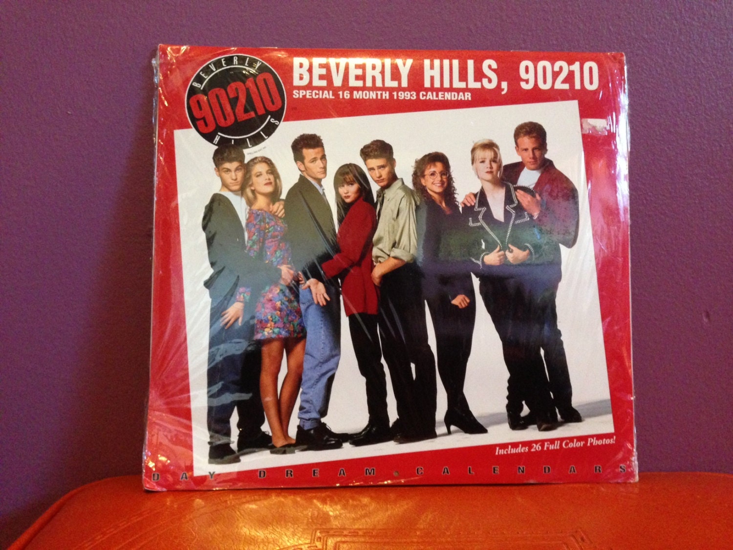 Beverly Hills, 90210 Special 16 Month 1993 Calendar