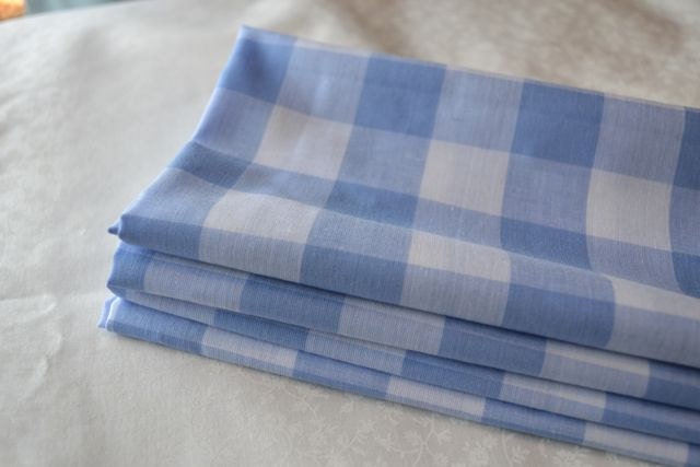 Light Blue Gingham Check Cloth Napkins by Dot and Army,  18inch