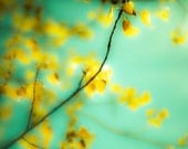 ON SALE Nature photography, Canary yellow, tree photography, autumn, aqua, pastel tones, turquoise, gold, blue green