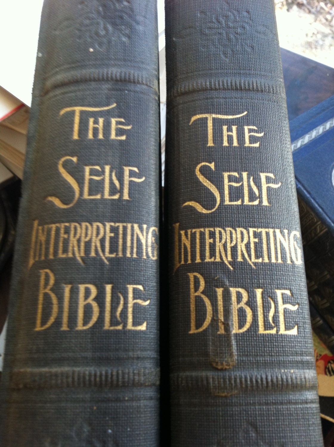 old book - 1905 illustrated The Self Interpreting Bible - vol. II & III