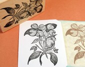 Dogwood Flower Rubber Stamp  - Handmade by BlossomStamps