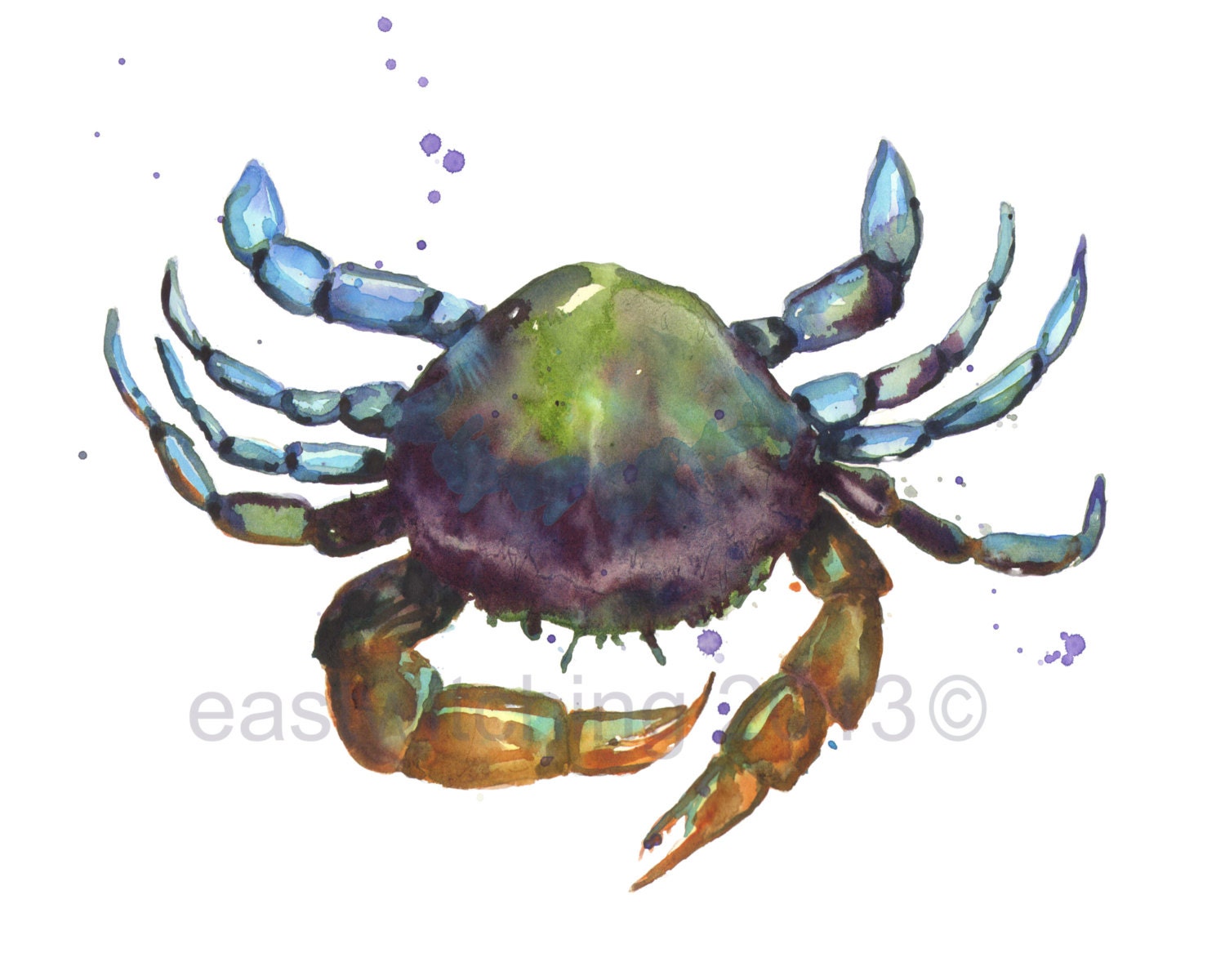 CRAB PRINT, deep and mysterious, beach house art, watercolor crab, for the sailor, crab