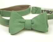 silk sage freestyle bow tie